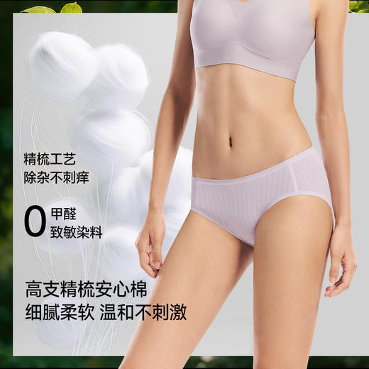 【蕉下精选】蕉下女士抗菌棉质内裤（3条装）CT04926 商品图1