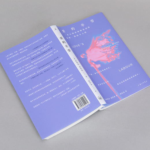 爱的辛劳 ：一名心理咨询师见证的欲望、创伤与人间 商品图6