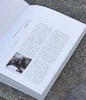 【特惠】《画吾自画：湖南省博物馆藏齐白石绘画作品展》，精装，8开，湖南省博物馆编，岳麓书社2020年一版一印，308页，雅昌精印，定价360，特惠价148元。 商品缩略图1