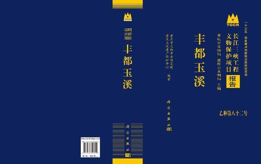 丰都玉溪 重庆市文物考古研究院 重庆文化遗产保护中心 9787030843852 商品图3