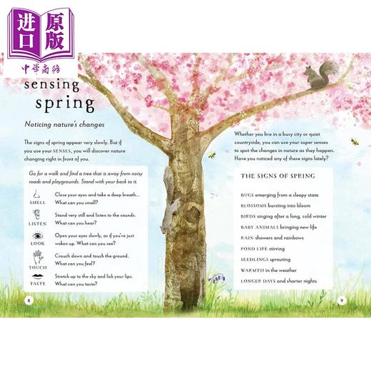 【中商原版】春夏秋冬户外指南4册 A Field Guide to Spring Summer Autumn Winter 英文原版 儿童四季科普绘本 进口精装绘本 商品图4