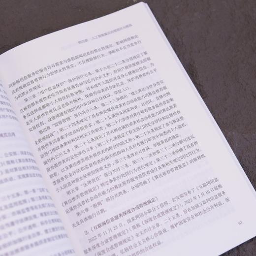 智能时代的算法治理 大模型技术与合规实践 大模型* 大模型开发 商品图3