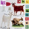 【中商原版】DK启蒙农场工作 My First Farm Let's Get Working 英文原版 儿童纸板书 认知识物 亲子绘本图画书 进口低幼童书 商品缩略图2