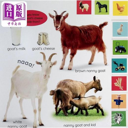 【中商原版】DK启蒙农场工作 My First Farm Let's Get Working 英文原版 儿童纸板书 认知识物 亲子绘本图画书 进口低幼童书 商品图2