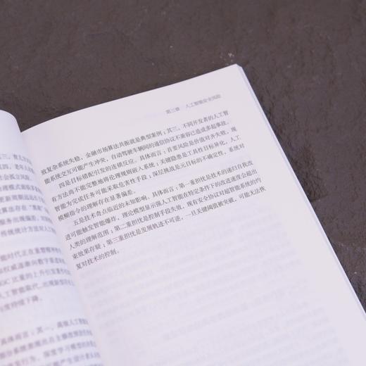 智能时代的算法治理 大模型技术与合规实践 大模型* 大模型开发 商品图4