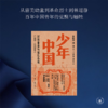 少年中国 民族青春与成长小说1900—1959年 商品缩略图1