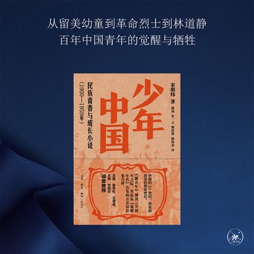 少年中国 民族青春与成长小说1900—1959年 商品图1