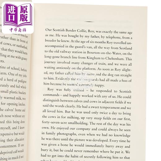 【中商原版】罗莎蒙德 杨 绵羊和其他动物的智慧 来自家庭农场的观察 畅销书 奶牛的秘密生活 作者新作	英文原版 Rosamund 商品图2