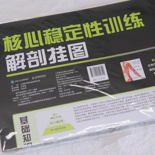 核心稳定性训练解剖挂图 商品图1