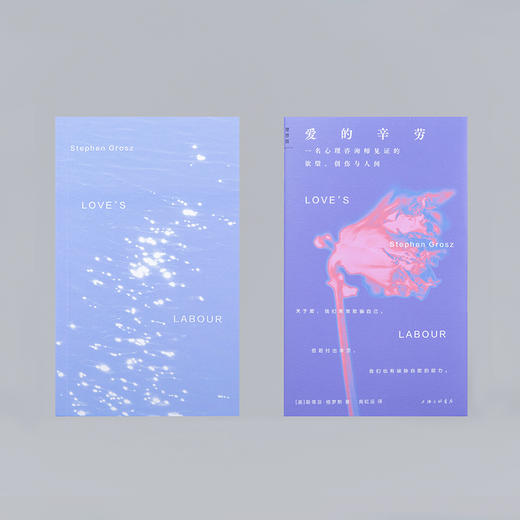 爱的辛劳 ：一名心理咨询师见证的欲望、创伤与人间 商品图5