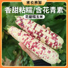密云现掰农家花甜糯玉米包邮 新鲜现掰  鲜嫩甜糯  花粒鲜食玉米 商品缩略图0