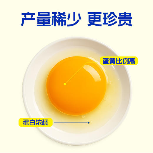 【顺丰/京东】限量2000盒 一年只卖一个月 | 蛋鲜森金奖无抗初生蛋/蛋鲜森可生食土鸡蛋 新鲜鸡蛋早餐食材 礼盒礼袋多规格 商品图2