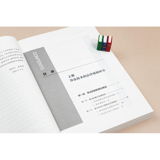 算法技术的法律规制:算法纠纷裁判中的场景化审查与典型案例  陈增宝 张凌寒 主编 杭州互联网法院  政法大学课题组  法律出版社 商品图5