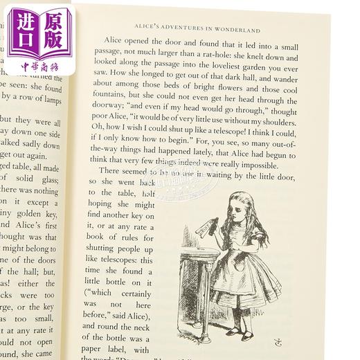 【中商原版】爱丽丝梦游仙境和镜中奇遇记 Alices Adventures in Wonderland Through Looking Glass 英文原版 Lewis Carroll 商品图2