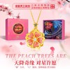 【镶嵌天外来物 星际浪漫与永恒爱意】 星心相印项链 （吉林市陨石博物馆出品 “星”为天，“心”属地 旋转相连 是为相印） 商品缩略图2