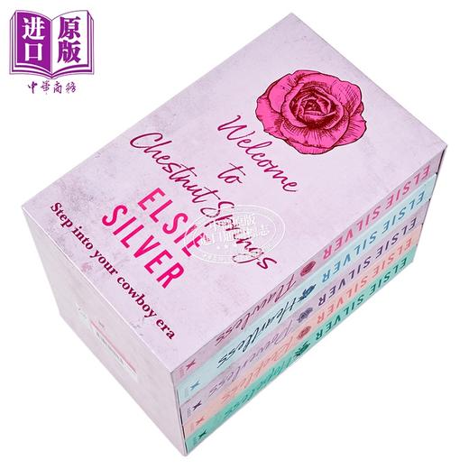 【中商原版】埃尔西 西尔弗的栗子泉系列 五本合集 英文原版 Elsie Silvers Chestnut Springs Series 5-Book Boxset 商品图1