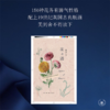 花之语：英国古典版画里的花草秘事 崔莹 著 三联书店 商品缩略图1