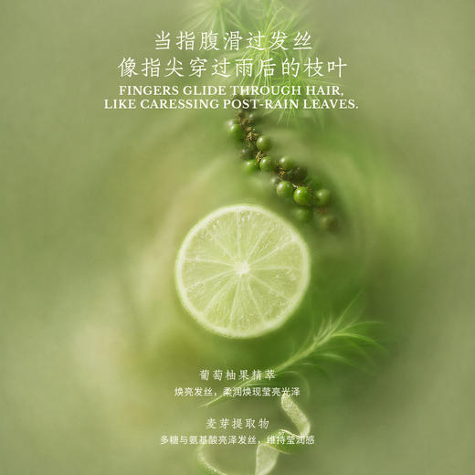 【特调东方清柚香韵】JURO栖岚 风林毓琇柚发膜 4重天然植物精油 密集养发 230g/罐 商品图3