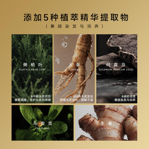 【加赠染发礼包】蛇年换新颜 挑米植护染发梳礼盒 操作方便 染护一体 400ml/瓶 商品图4