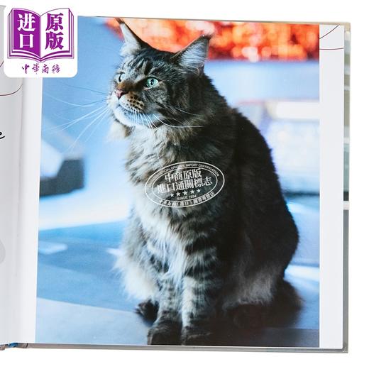 【中商原版】星际迷航发现号 怨恨之书 Star Trek Discovery The Book of Grudge 英文原版 Robb Pearlman 商品图2