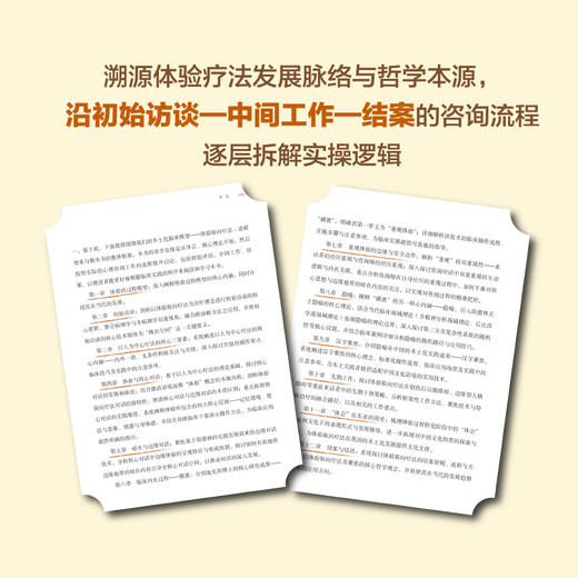 体验取向疗法 道模型在中国的发展 徐钧著聚焦取向体验疗法心理咨询 商品图3