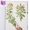 【中商原版】药用植物 英国皇家植物园口袋书系 英文原版 Kew Pocketbooks Medicinal Plants Melanie Jayne Howes 商品缩略图2