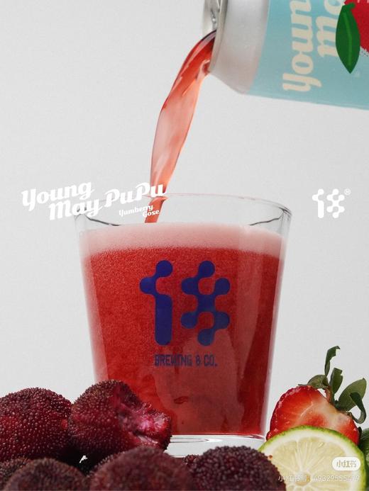 拾捌精酿 杨梅PUPU 500ml 商品图1