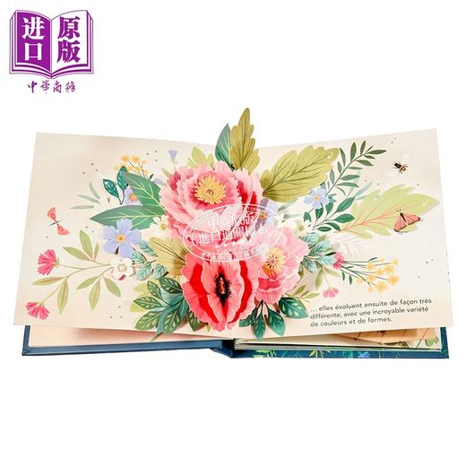 【中商原版】【法文版】美妙的大自然 花卉 3d书 Kathryn Selbert绘 法文原版 Merveilles de la nature Nicole Yen 商品图4