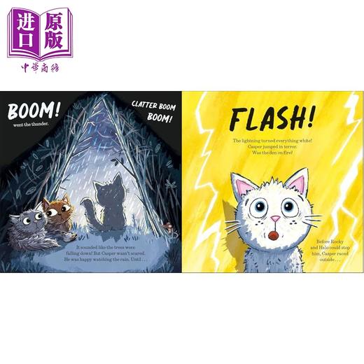 【中商原版】DK绘本 大爆炸 DK The Big Bang 英文原版 绘本故事 温馨感人的世界读书日故事 讲述了同理心友谊和对聋人的关注 商品图4