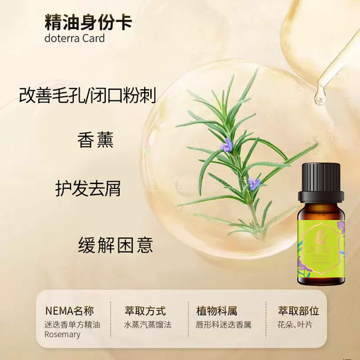 伊帕尔汗迷迭香精油10ml肌肤精油官方旗舰店 商品图1
