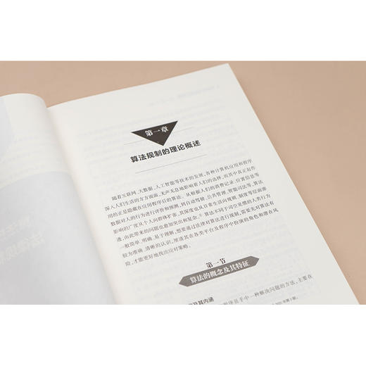 算法技术的法律规制:算法纠纷裁判中的场景化审查与典型案例  陈增宝 张凌寒 主编 杭州互联网法院  政法大学课题组  法律出版社 商品图4