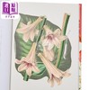 【中商原版】中国植物 英国皇家植物园口袋书系 Kew Pocketbooks Chinese Plants 英文原版 Alex Summers 商品缩略图2