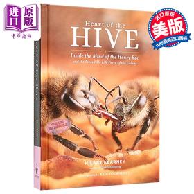 【中商原版】蜂巢之心 蜜蜂的内在世界和蜂巢的生命力 Heart of the Hive 英文原版 Hilary Kearney 希拉里 科尔尼