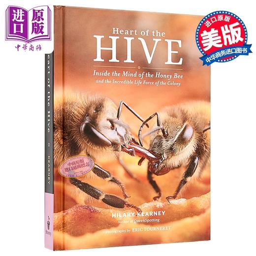 【中商原版】蜂巢之心 蜜蜂的内在世界和蜂巢的生命力 Heart of the Hive 英文原版 Hilary Kearney 希拉里 科尔尼 商品图0