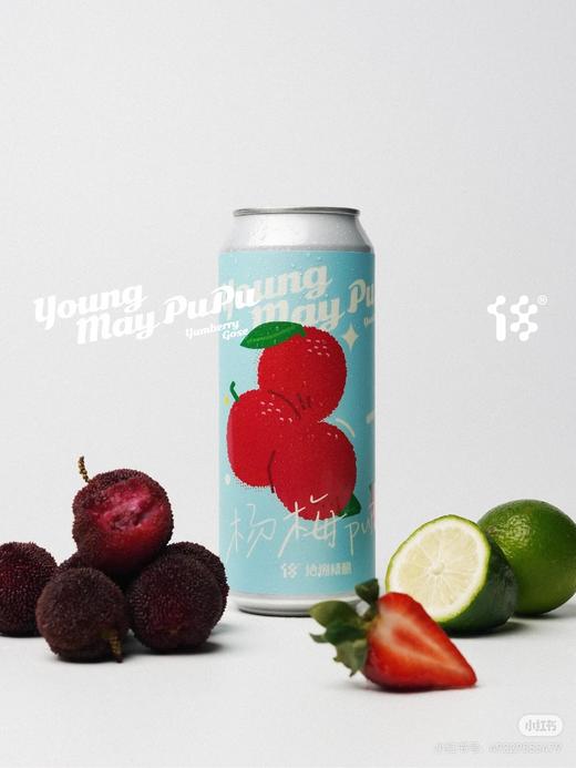 拾捌精酿 杨梅PUPU 500ml 商品图0