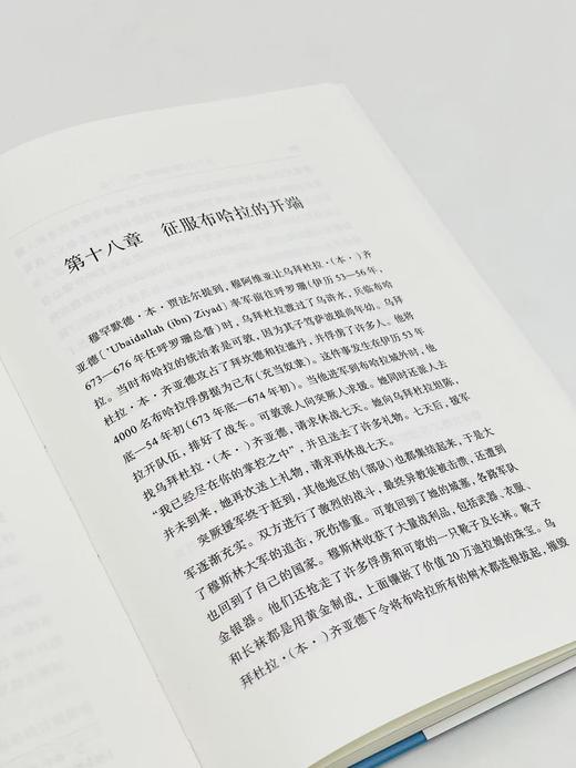 布哈拉史(中亚译丛) 商品图8