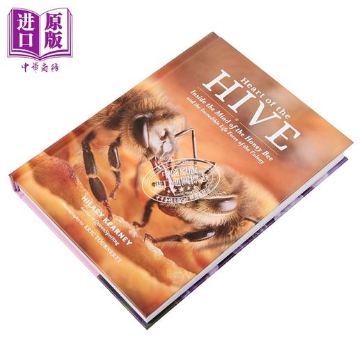 【中商原版】蜂巢之心 蜜蜂的内在世界和蜂巢的生命力 Heart of the Hive 英文原版 Hilary Kearney 希拉里 科尔尼 商品图1