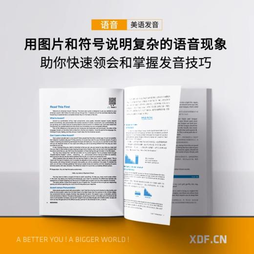 【新东方】美语发音秘诀 美语发音的13个秘诀/说出正确的口语-美音达人的语法书  Ann Cook人气之作 商品图3