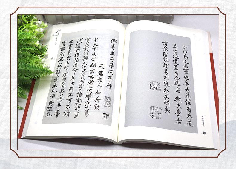 中医89_06.jpg