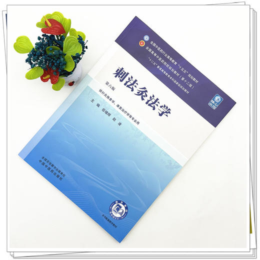 刺法灸法学 岳增辉 赵凌 主编（第六版）全国中医药行业高等教育十五五第十二版规划教材 中国中医药出版社 商品图1