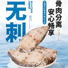 疯抢中！！顺丰直发【仅含一条主骨无小刺、老人儿童放心吃！】【阳江非遗技艺·鳘鱼】免杀免处理 肉质紧实 纹理清晰 营养丰富 500g/袋 商品缩略图1