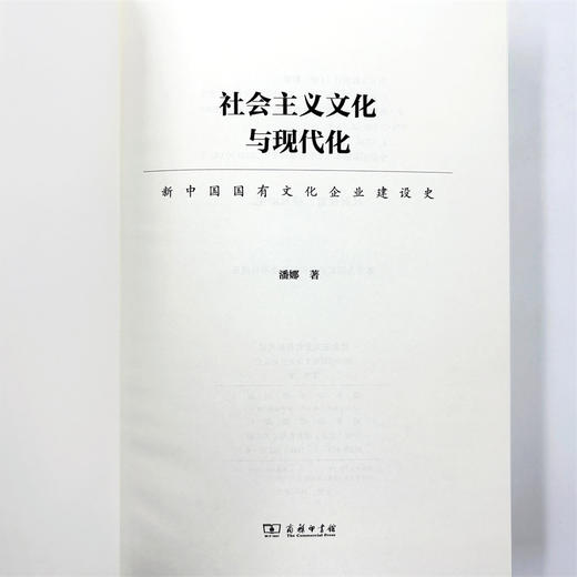 社会主义文化与现代化：新中国国有文化企业建设史 商品图6
