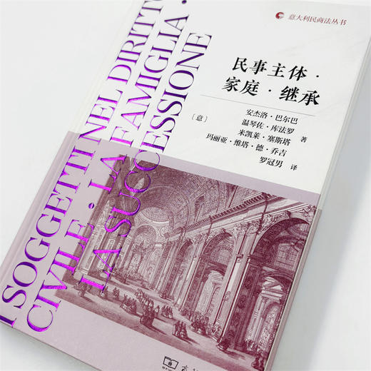 民事主体·家庭·继承(意大利民商法丛书) 商品图6