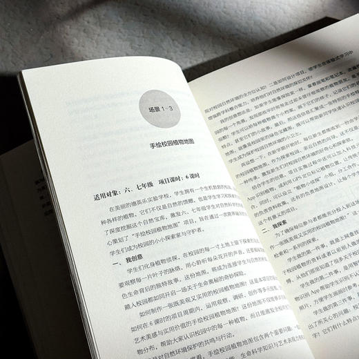 跨学科实践的境脉设计与创意实施 金悦 中小学案例 商品图9