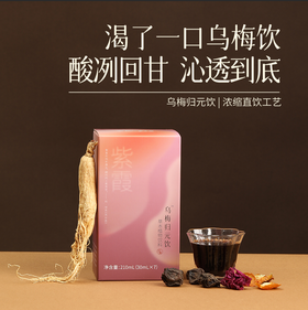 【答摩优选】乌梅归元饮- 上寒下热人参乌梅茯苓生姜调理浓缩饮