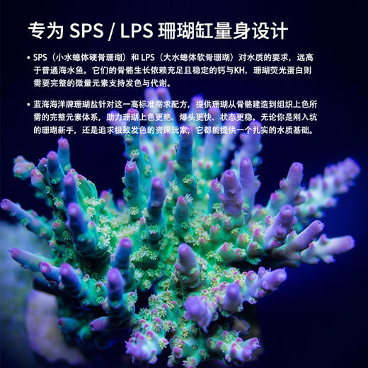 蓝海自营珊瑚盐 商品图3