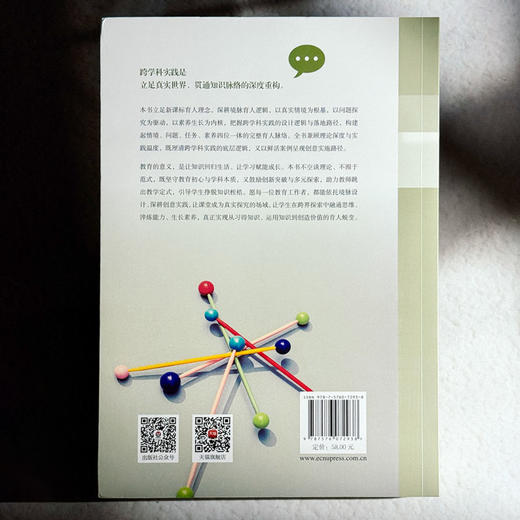 跨学科实践的境脉设计与创意实施 金悦 中小学案例 商品图2