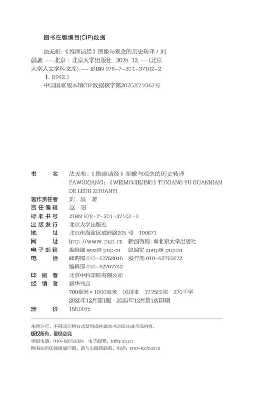 法无相：《维摩诘经》图像与观念的历史转译   刘晨 著  北京大学出版社 商品图2