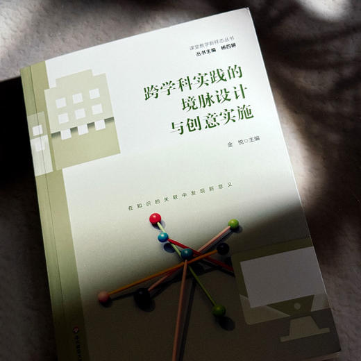 跨学科实践的境脉设计与创意实施 金悦 中小学案例 商品图4