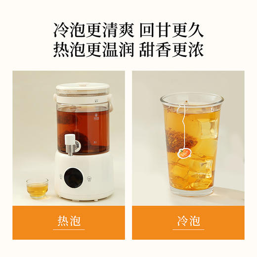 【赠杯子+吸管】喜善花房 南瓜茶 3g*15包/盒 温润南瓜香一杯自然甜 商品图5